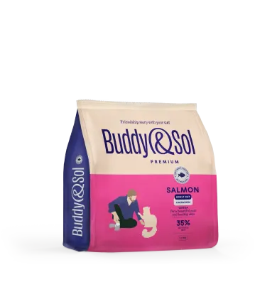 Buddy&Sol PREMIUM ADULT HAIR & SKIN Полнорационный сухой корм премиум-класса с лососем для взрослых кошек, здоровая кожа и красивая шерсть 1,8
